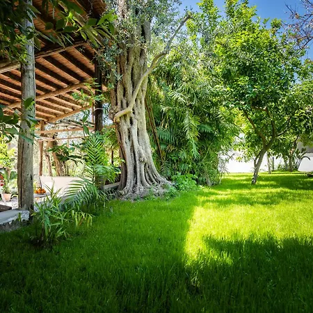 Talia * سورينتو