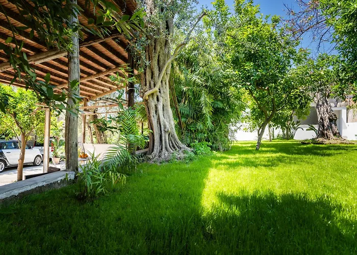 Talia * سورينتو