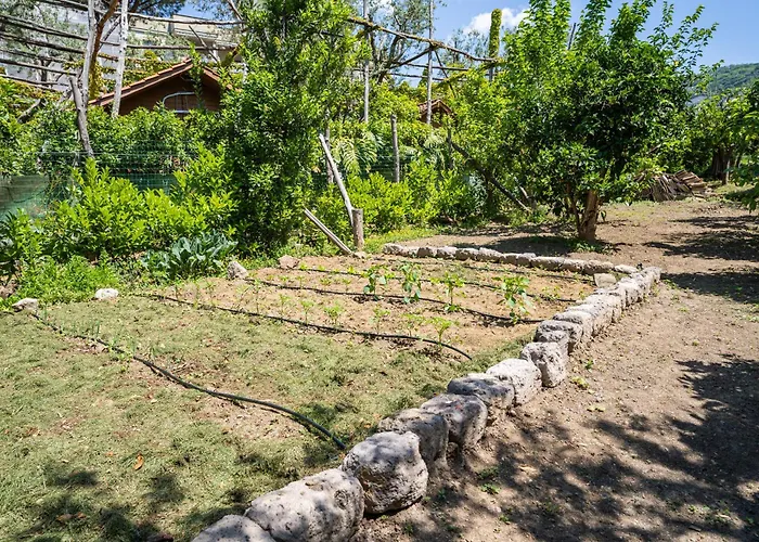 Talia سورينتو