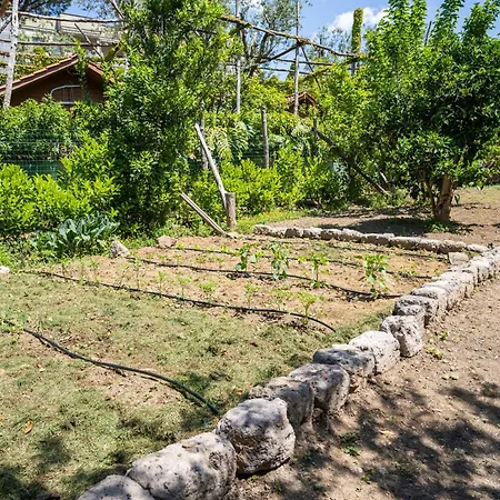 Talia Σορέντο